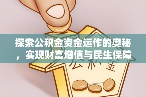 津南探索公积金资金运作的奥秘，实现财富增值与民生保障