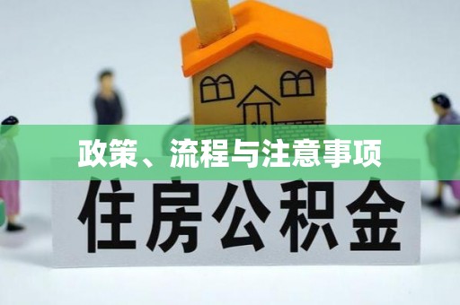 津南政策、流程与注意事项
