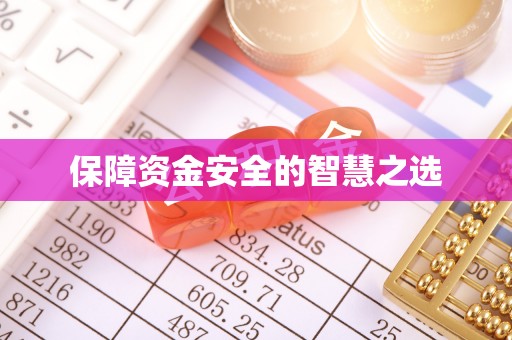 津南保障资金安全的智慧之选