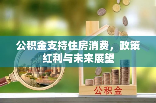 津南公积金支持住房消费，政策红利与未来展望