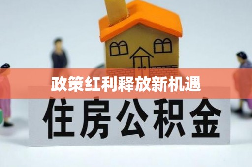津南政策红利释放新机遇